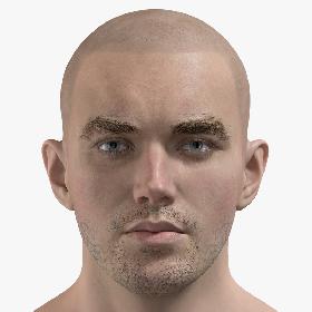 3D Male Head